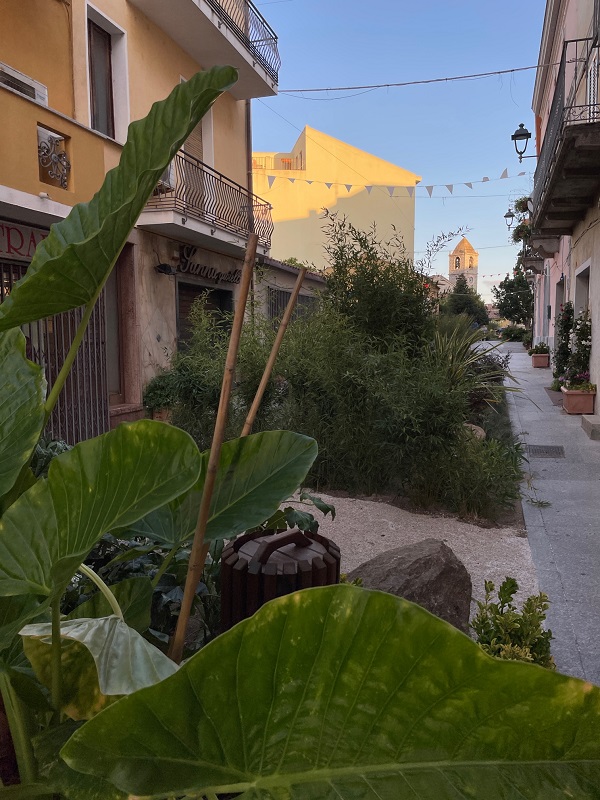 Installazione vincitrice dellazienda Prato Verde Estate in Fiore 2023 2 low