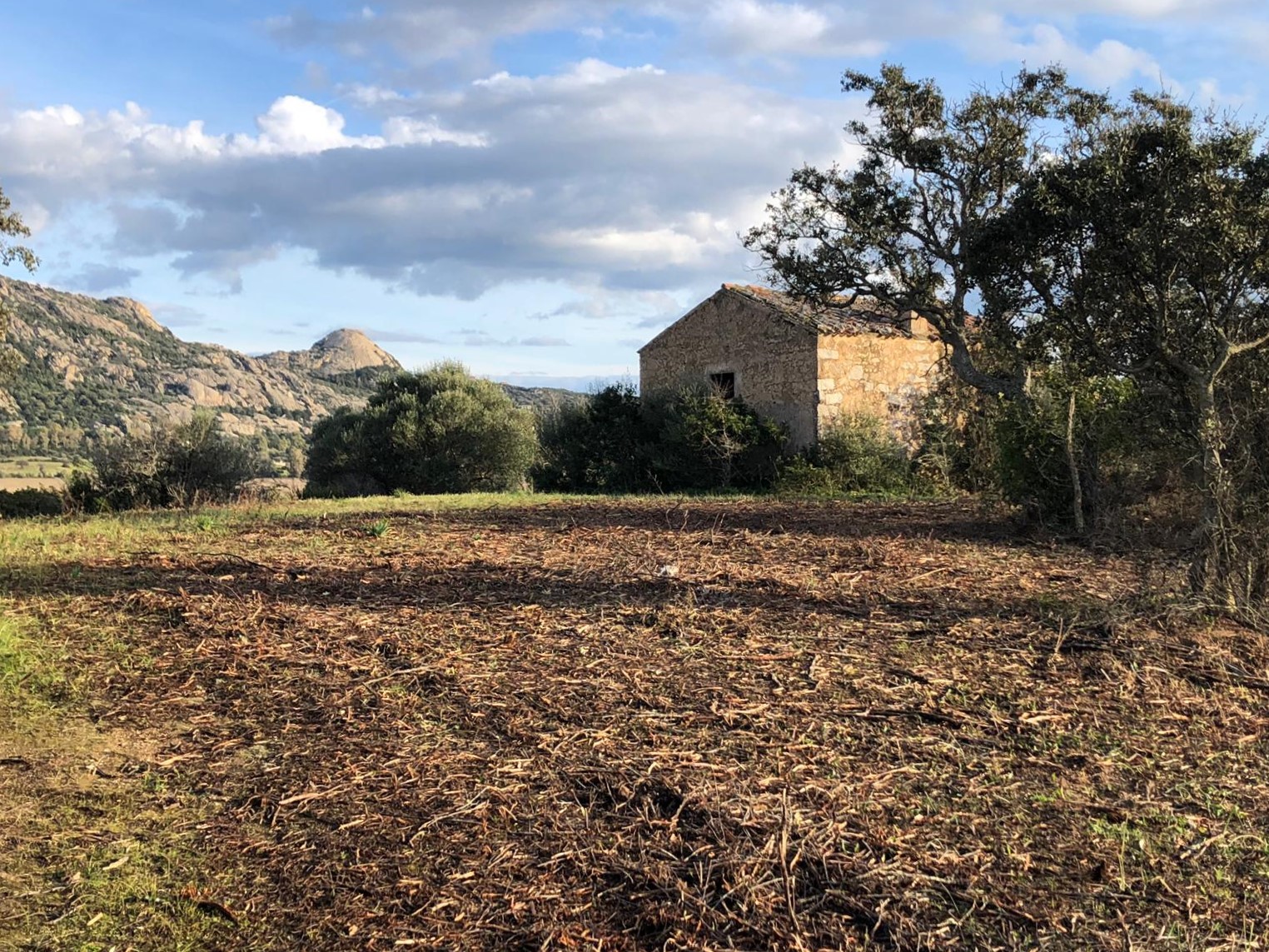 Area verde e stazzo confiscati alla mafia sul golfo di Arzachena