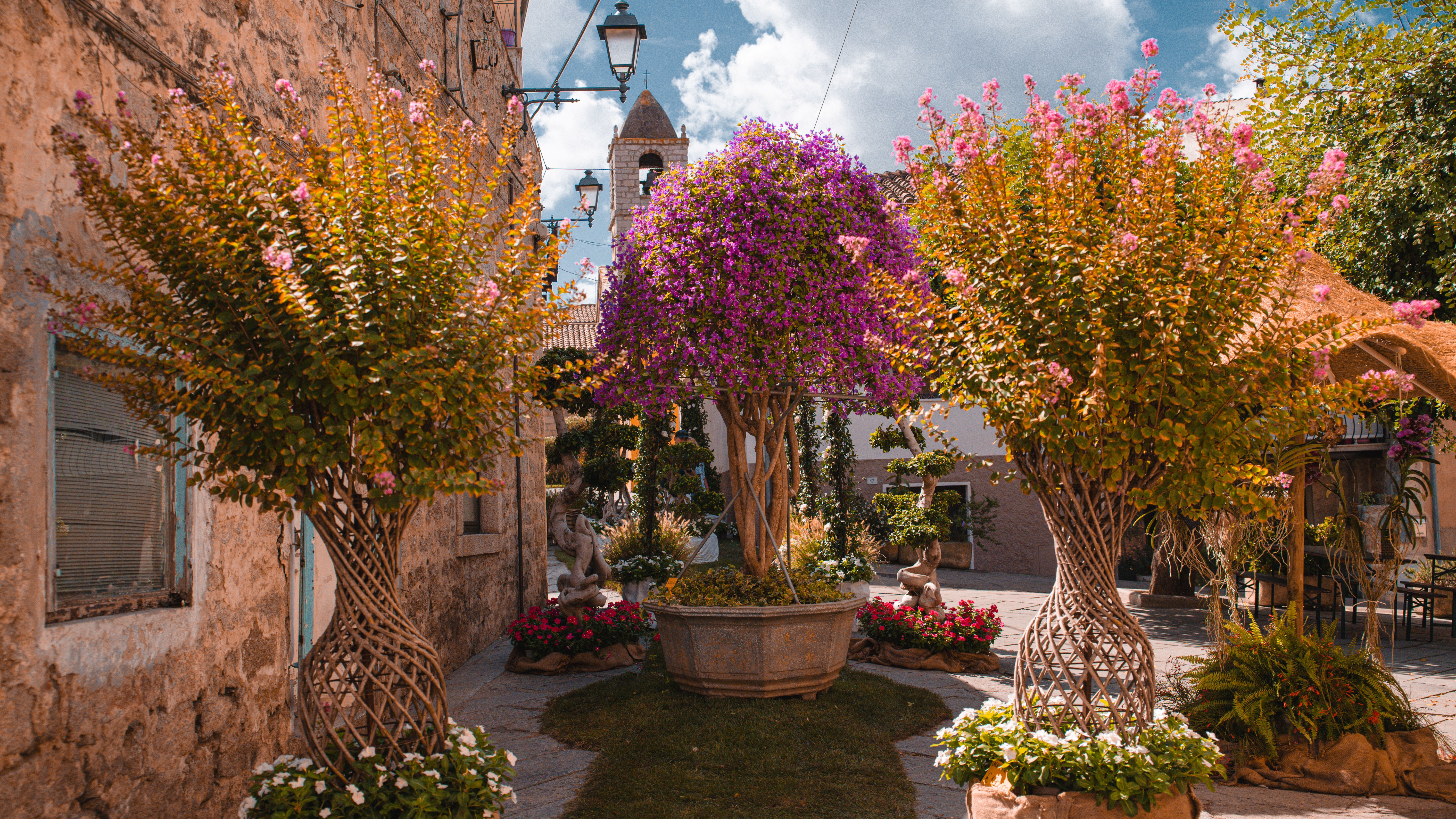 L'undicesima edizione di Estate in Fiore in uno scatto di Antonella Marteddu in corso Garibaldi (2025)