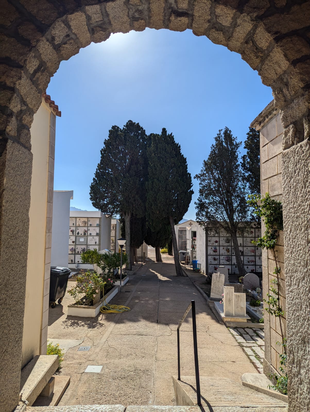 viale interno cimitero Arzachena