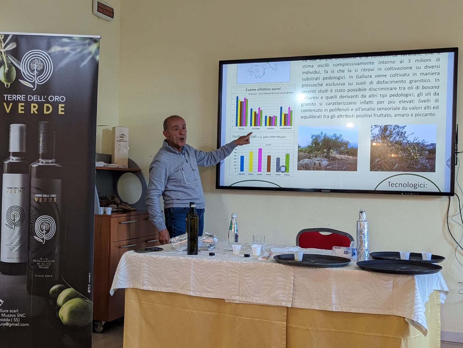 Una lezione sulla coltura oleicola ad Arzachena