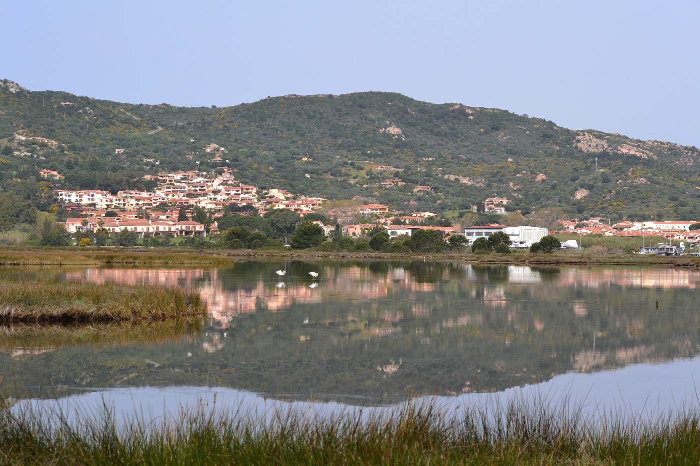 Un tratto dello stagno accanto la spiaggia Lu Postu ad Arzachena