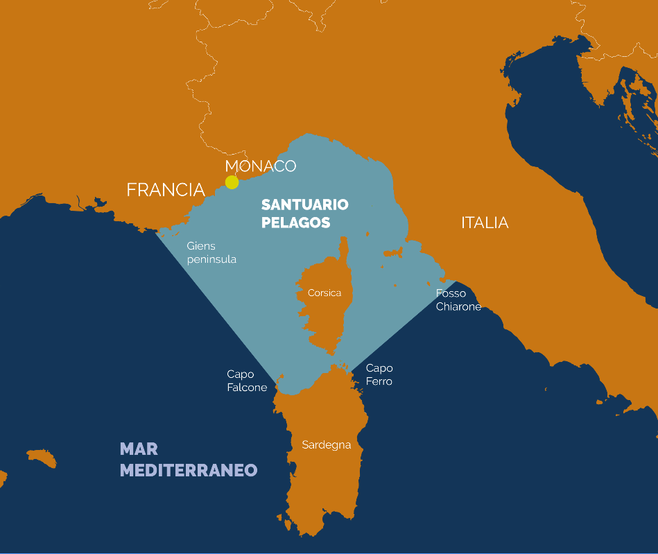 mappa santuario pelagos